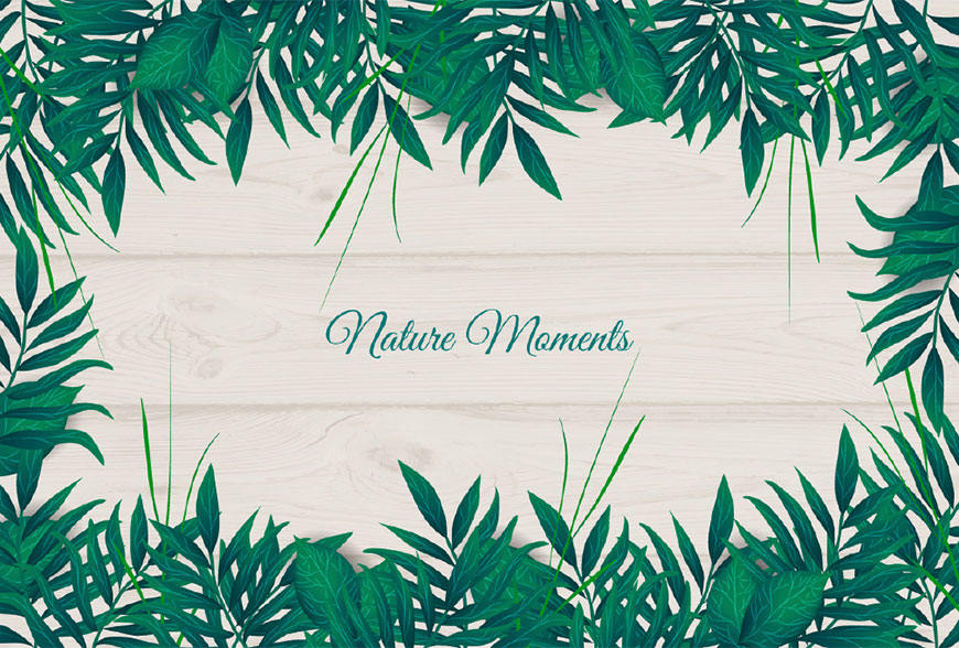 Illustrator绘制自然主题风格的绿叶背景