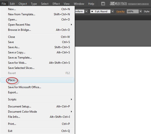 Illustrator调出人物照片质感的黑白效果  第4张