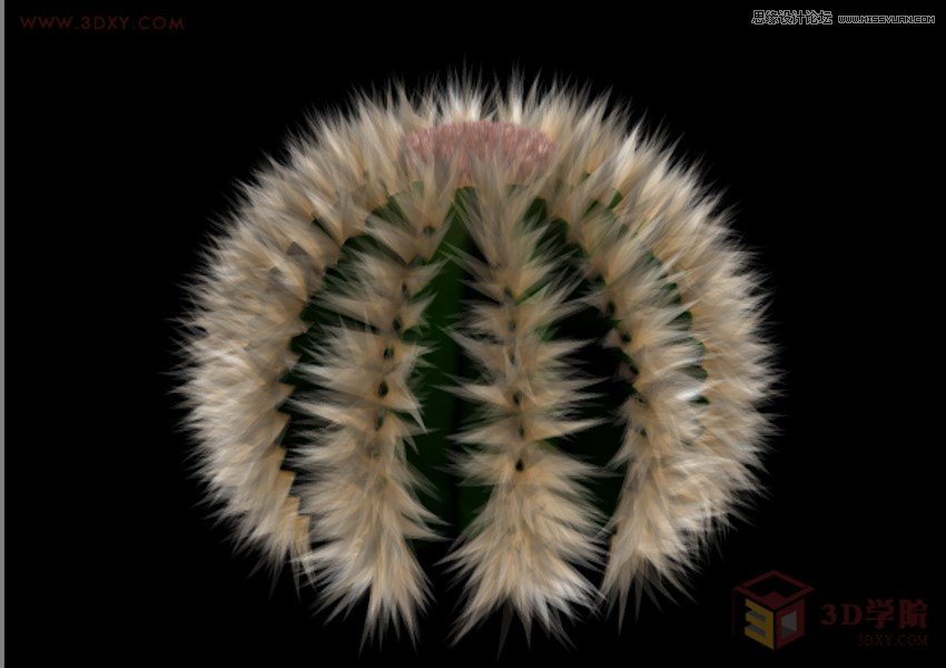 3DMAX详细解析仙人球快速建模的方法  第1张