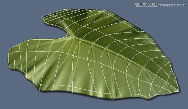 3ds Max制作晶莹剔透的水滴教程 第4张 3ds Max制作晶莹剔透的水滴教程 第4张