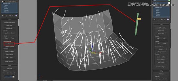 3ds Max制作头发和皮毛实例教程 第6张 3ds Max制作头发和皮毛实例教程 第6张
