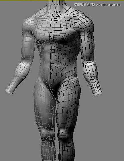 3ds max解析人体建模实例教程 第3张 3ds max解析人体建模实例教程 第3张