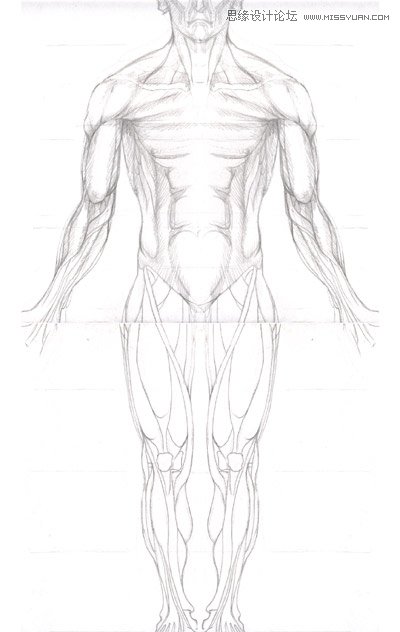 3ds max解析人体建模实例教程 第4张 3ds max解析人体建模实例教程 第4张