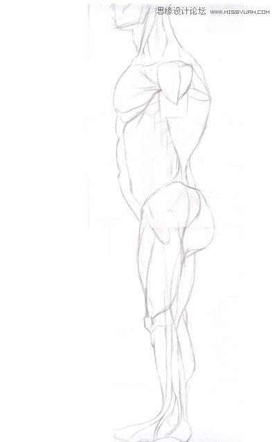 3ds max解析人体建模实例教程 第5张 3ds max解析人体建模实例教程 第5张