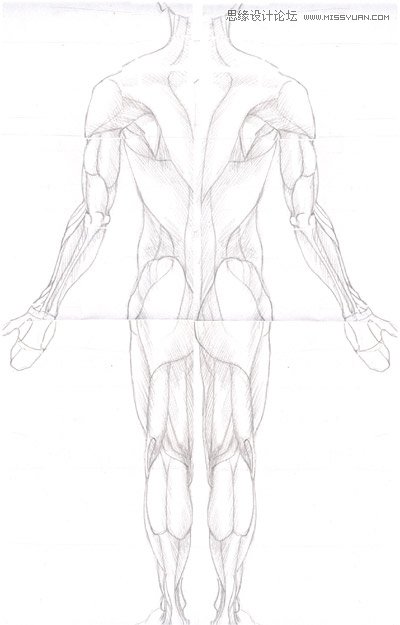 3ds max解析人体建模实例教程 第6张 3ds max解析人体建模实例教程 第6张