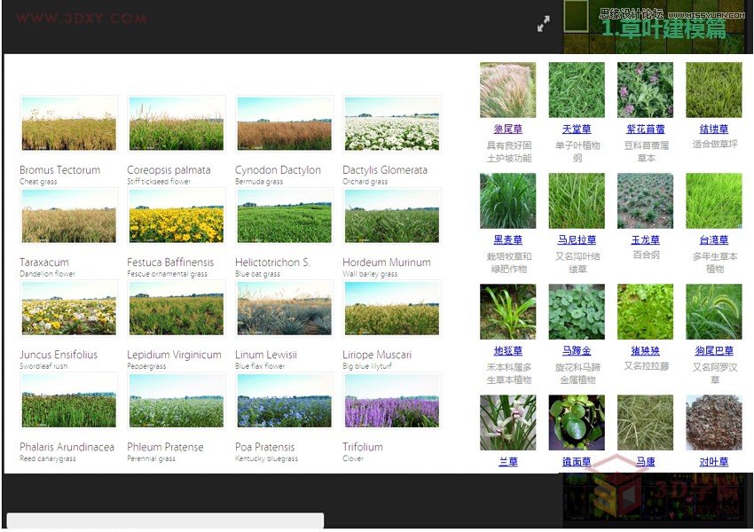 3DMAX详细解析真实草地效果图制作教程 第3张 3DMAX详细解析真实草地效果图制作教程 第3张
