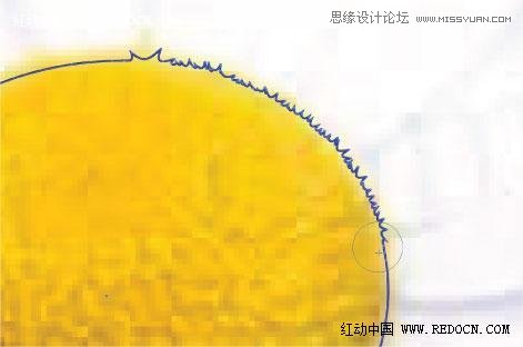 Illustrator绘制漂亮的白色雏菊效果  第4张