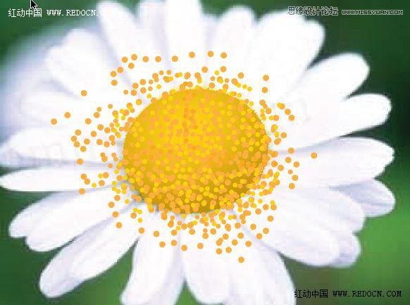 Illustrator绘制漂亮的白色雏菊效果  第8张