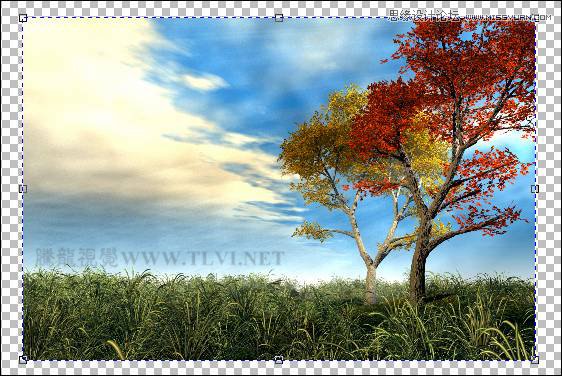 CorelDRAW实例教程：绘制现代装饰油画效果  第4张