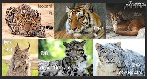 3DMAX教程：《王魂》创作设计理念剖析  第2张