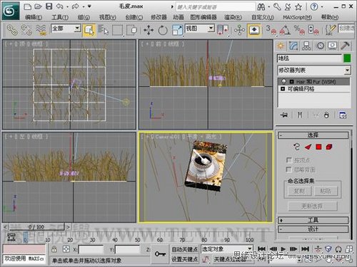 3ds Max教程：解析材质中的毛皮质感  第4张