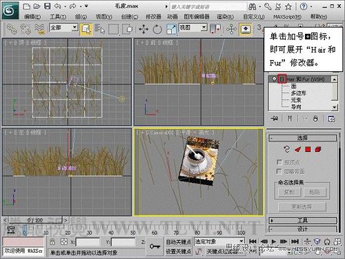 3ds Max教程：解析材质中的毛皮质感  第5张