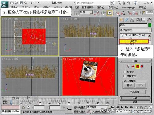 3ds Max教程：解析材质中的毛皮质感  第6张