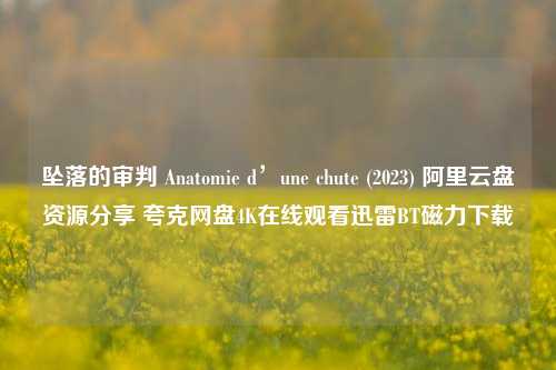 坠落的审判 Anatomie d’une chute (2023) 阿里云盘资源分享 夸克网盘4K在线观看迅雷BT磁力下载  第1张