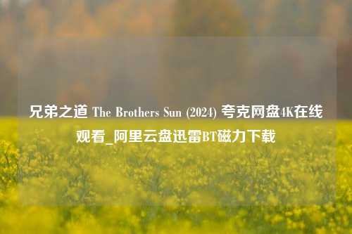 兄弟之道/孙家兄弟 The Brothers Sun (2024) 夸克网盘4K在线观看_阿里云盘迅雷BT磁力下载  第1张