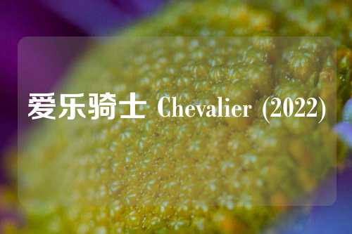 爱乐骑士 Chevalier (2022)  第1张