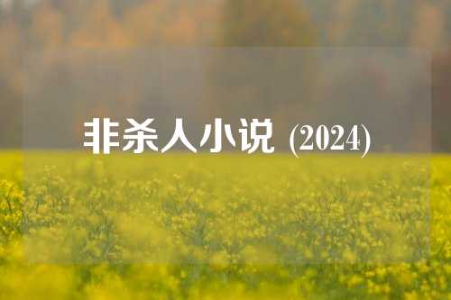 非杀人小说 (2024)  第1张