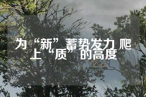 为“新”蓄势发力 爬上“质”的高度  第1张