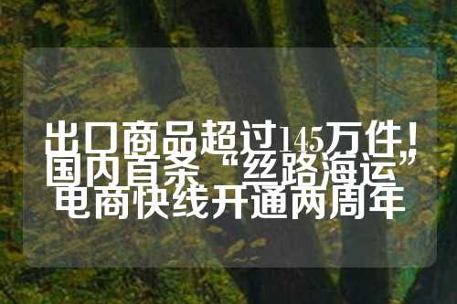 出口商品超过145万件！国内首条“丝路海运”电商快线开通两周年  第1张