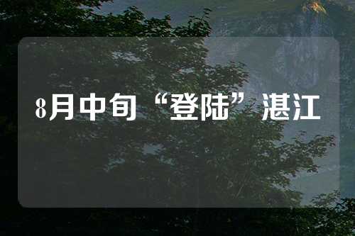 8月中旬“登陆”湛江  第1张