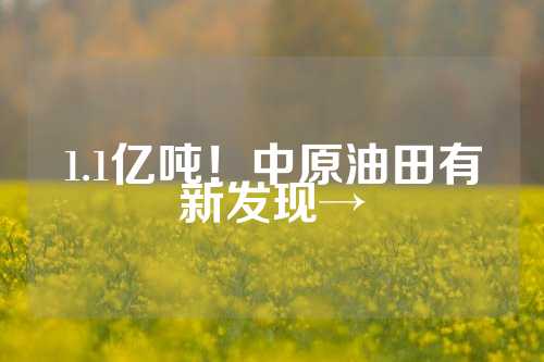 1.1亿吨！中原油田有新发现→  第1张