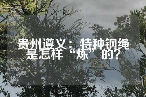 贵州遵义：特种钢绳是怎样“炼”的？  第1张