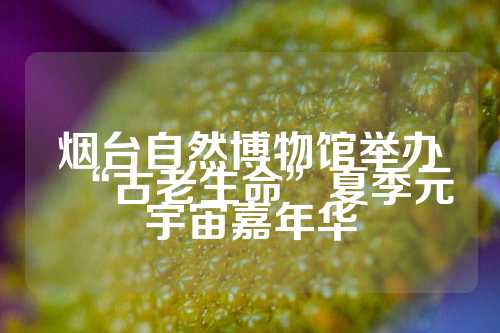 烟台自然博物馆举办“古老生命”夏季元宇宙嘉年华  第1张