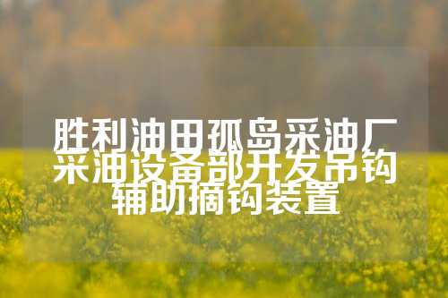 胜利油田孤岛采油厂采油设备部开发吊钩辅助摘钩装置  第1张