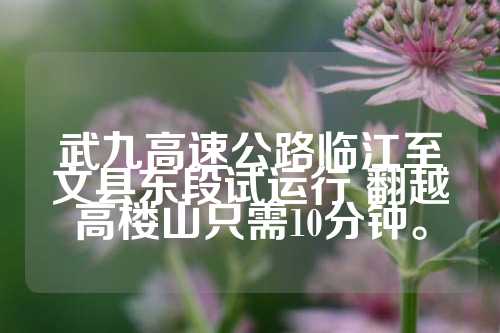 武九高速公路临江至文县东段试运行 翻越高楼山只需10分钟。  第1张