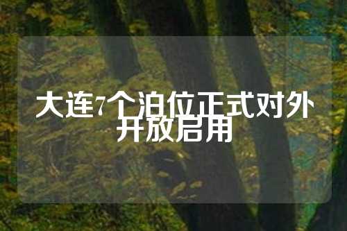 大连7个泊位正式对外开放启用  第1张