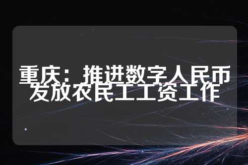 重庆：推进数字人民币发放农民工工资工作  第1张