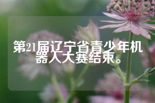 第21届辽宁省青少年机器人大赛结束。  第1张