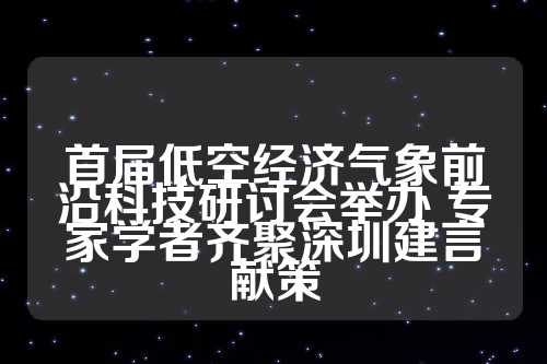 首届低空经济气象前沿科技研讨会举办 专家学者齐聚深圳建言献策  第1张