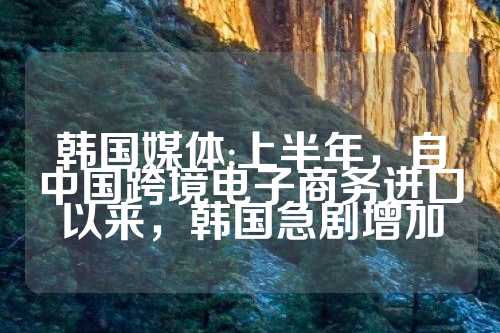 韩国媒体:上半年，自中国跨境电子商务进口以来，韩国急剧增加  第1张