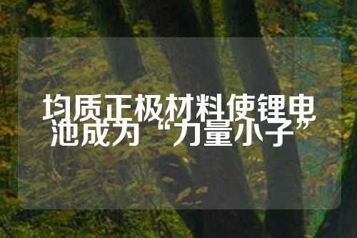 均质正极材料使锂电池成为“力量小子”  第1张