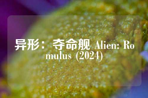 异形：夺命舰 Alien: Romulus (2024)  第1张